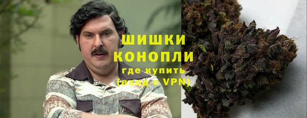 Альфа ПВП Белокуриха