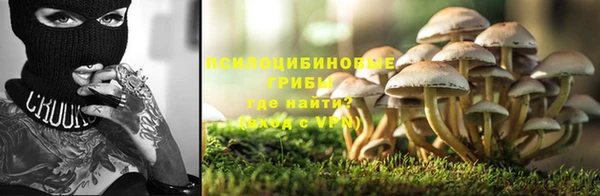 Альфа ПВП Белокуриха