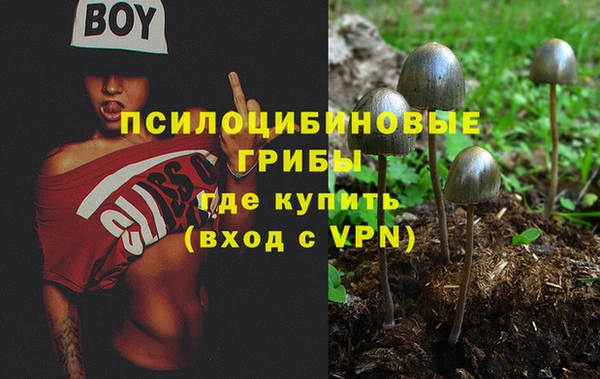 Альфа ПВП Белокуриха