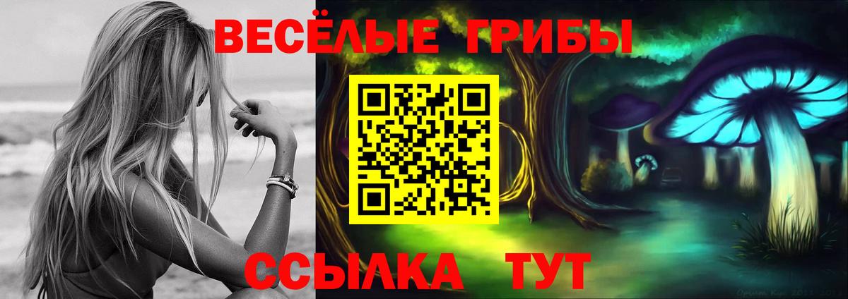 Галлюциногенные грибы Cubensis  Вход с VPN  Бутурлиновка 